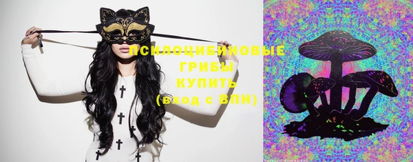 стаф Краснотурьинск