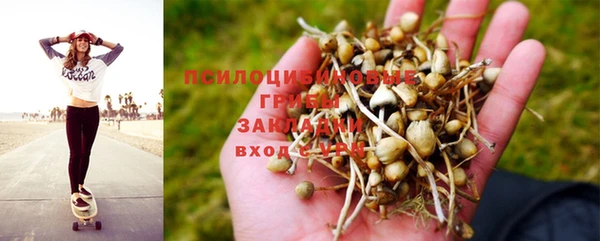 стаф Краснотурьинск