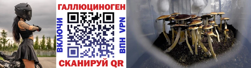 цена наркотик  Нерюнгри  Галлюциногенные грибы Cubensis 