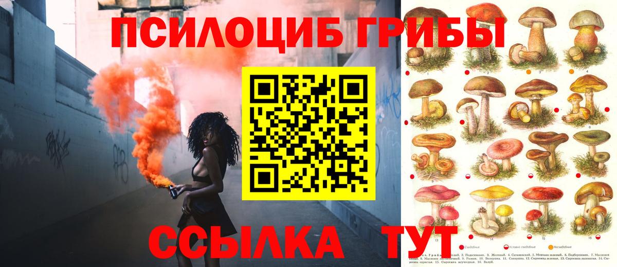 A PVP СОЛЬ кристаллы  Гашиш  МАРИХУАНА  Нерюнгри  Вход с VPN  ГАШ  Наркошоп  Меф кристаллы  НБОМе 