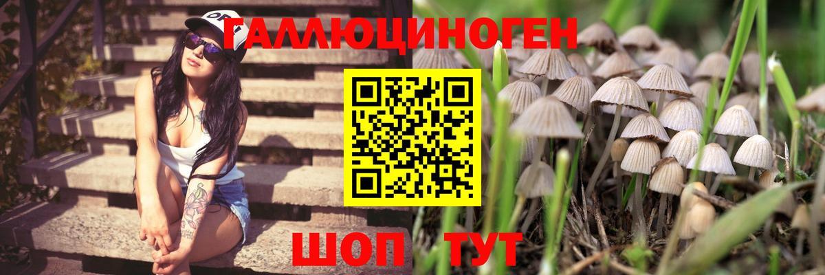 Псилоцибиновые грибы MAGIC MUSHROOMS  Галлюциногенные грибы мухоморы  Вход с VPN  Нерюнгри 